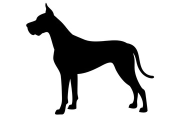 Great Dane Silhouette on White Background animal