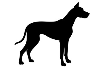 Red Great Dane Dog Silhouette canine animal