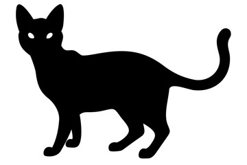 Siamese cat silhouette on white background animal domestic cat