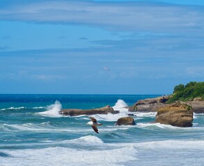 Biarritz côte basque 