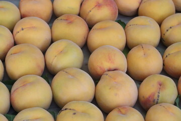 Fresh yellow peaches forming a colorful display at market