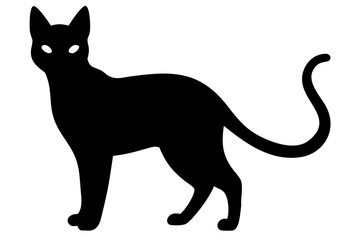 Siamese Cat Silhouette on White Background animal feline