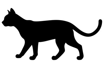 White Bengal Cat Silhouette animal feline