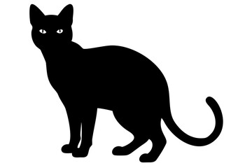 Blue Siamese Cat Silhouette animal silhouette domestic cat