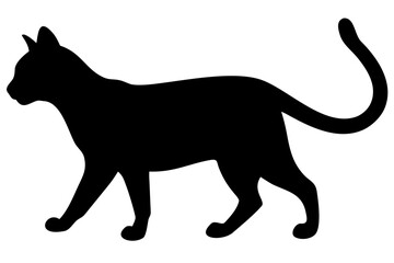 Brown Bengal Cat Silhouette animal feline