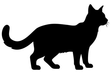 Brown Maine Coon Cat Silhouette animal silhouette domestic cat