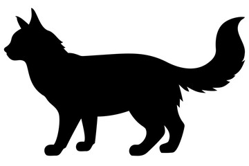 Maine Coon Cat Silhouette feline animal 1