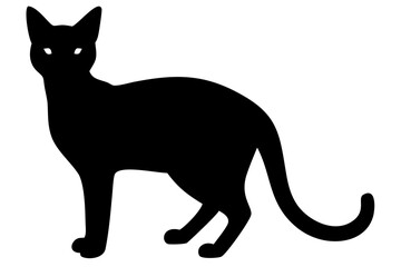 Red Siamese Cat Silhouette animal silhouette pet silhouette
