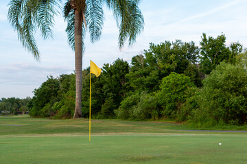 A yellow pole and flag in the hole on a golf green. There's a white golf ball a couple of yards from the hole.The flag is waving in the wind. A palm tree and line of lush deciduous tree line the green