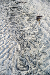Abstract Seabed Textures: Mesmerizing Wavy Sand Patterns Under Clear Shallow Water - Nature's Organic Art