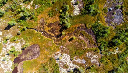 Aerial View of Rugged Terrain with Mossy Vegetation in Natural Daylight