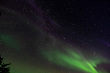 Mesmerizing Green & Purple Northern Lights Display: Starry Night Sky with Vibrant Aurora Borealis -...