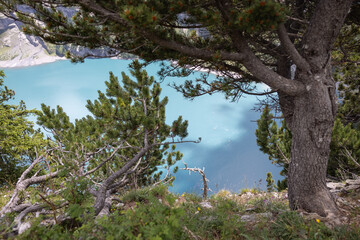 Lake Oeschinen in Switzerland: view through trees on this beautiful swiss mountain lake