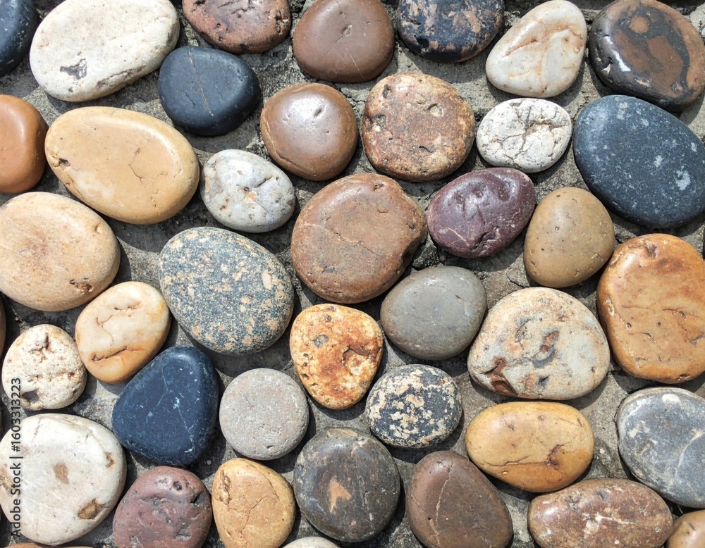Poster many multicolored smooth beach pebbles creating a natural abstract texture