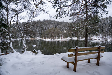 Snow-Covered Bench Overlooking Tranquil Winter Lake & Forested Island: Serene Nature Landscape