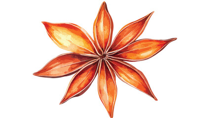 Star Anise Watercolor Illustration