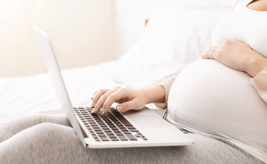 Fototapeta premium Childbirth information research. Pregnant woman browsing on laptop at home, side view, free space