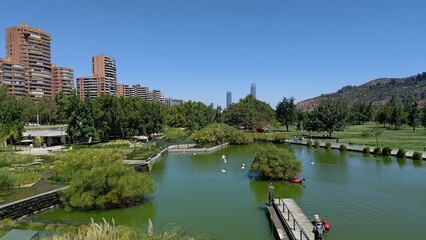 Bicentenary park in Santiago with a beautiful green lake where swans swim. In the background, modern residential buildings and skyscrapers rise against a clear blue sky on a bright, sunny summer day.