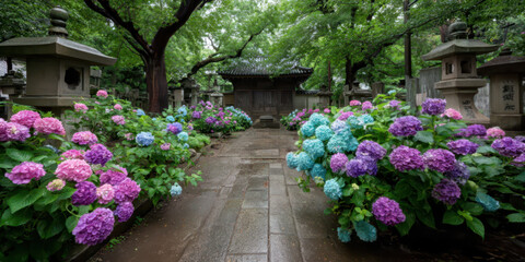 A serene temple garden in summer, filled with countless blooming hydrangeas in gentle shades of blue, purple, and pink. Ancient stone paths wind through the landscape