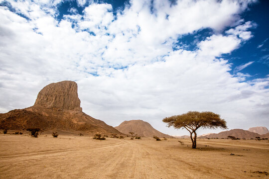 A breathtaking panoramic view from the Hoggar Desert in southern Algeria. On the left stands a towering rock formation, like a silent guardian of the land, while on the right, a lone acacia tree stret