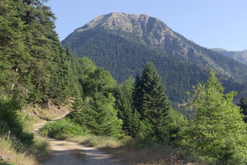 In the mountains of South Pindus, Greece on a summer day