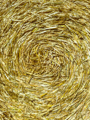 The Golden Spiral Texture beautifully captures the true essence of nature through its vibrant colors and smooth, flowing patterns, evoking a sense of harmony and elegance in a truly artistic manner