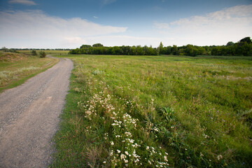 A rural dirt road passes through meadows and fields, a typical landscape of eastern Ukraine.