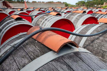 Old oak barrels for aging of natural sweet red grand cru wine Banyuls outdoor in sunlights, ...