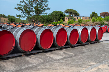 Old oak barrels for aging of natural sweet red grand cru wine Banyuls outdoor in sunlights, ...