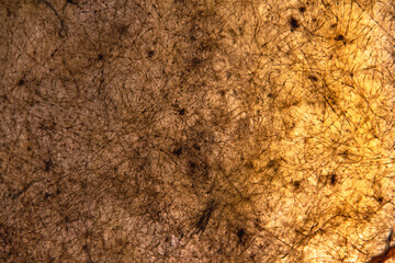 Fibra de vidrio naranja