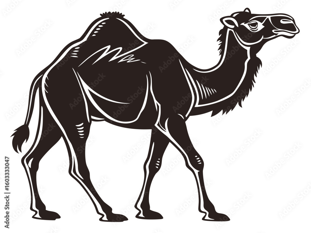 Poster illustration of a dark brown camel with white outline walking on a white background in a simple styl