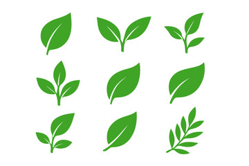 Green leaf icon set. Vector collection of flat leaves symbols. Plant, sprout, and tree branch silhouettes for eco, bio, vegan, organic, and natural product logos.