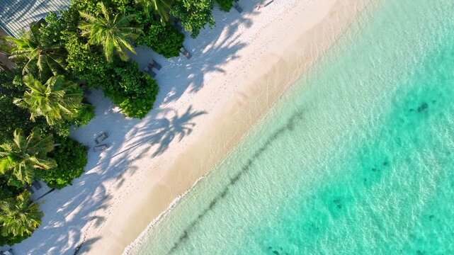 Paradise Island &ndash; Beachfront from Above with white sand and palm trees and clear water