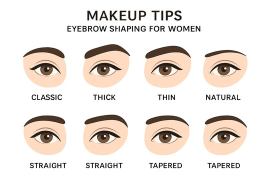 Eyebrow shapes set. Female eye and brows shaping chart. Makeup tips for different types of brows: classic, thick, thin, natural, tapered. Beauty vector illustration guide.