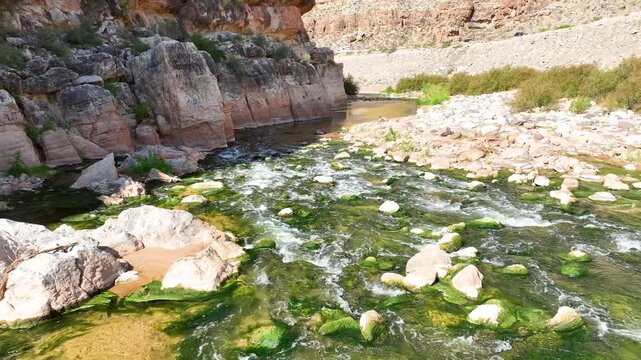 Stationary River Rapids and Rocky Canyon with Desert Vegetation in Sunlit Gorge