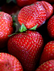 freshly picked strawberries
