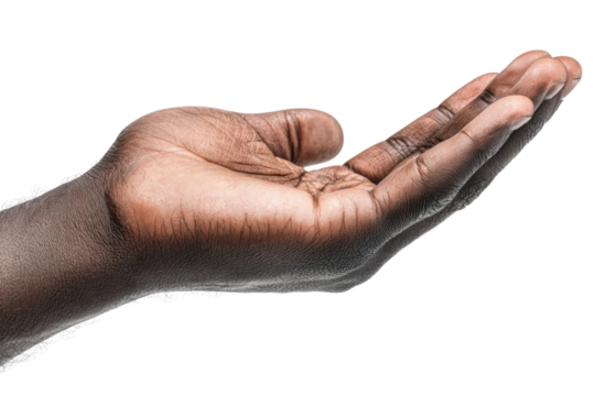 Open hand gesture demonstrating trust neutral background close-up. Isolated on transparent background, png.