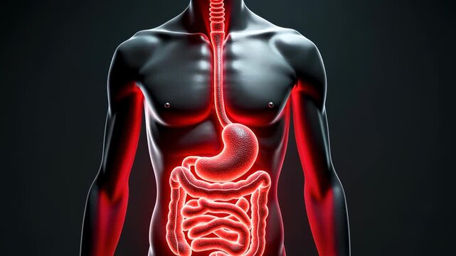 pain intestines, abdominal cramps, gastric discomfort. Digestive health. Stomach ache manifests through acute sharpness. Intestinal inflammation reduces nutrient absorption. Bowel disorders influence