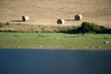 Wild Sardinian landscape in summer with yellow hay bales along the Temo River near Monteleone...