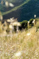 Temple of Asclepius Ruins in Epidaurus Meadow