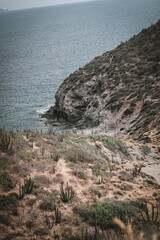 ola orilla del mar 