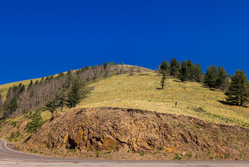 Soaring to nearly 10,000' high, the Windy Point Vista is a spectacular vantage point of the entire...