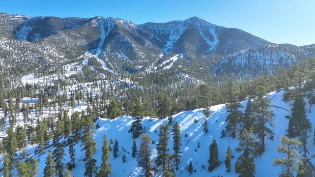 Aerial Tracking Shot of Snowy Mt Charleston Peaks and Forest