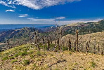 Soaring to nearly 10,000' high, the Windy Point Vista is a spectacular vantage point of the entire...