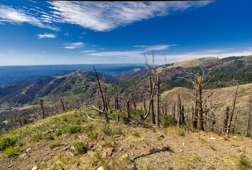 Soaring to nearly 10,000' high, the Windy Point Vista is a spectacular vantage point of the entire...