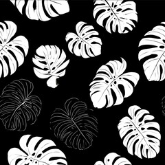 minimalist tropical monstera silhouettes high contrast black and white negative space elegance.