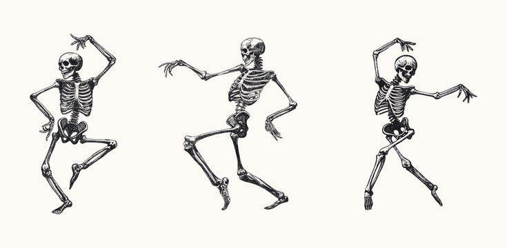 dancing skeletons in humorous poses set isolated hand drawn sketch card design element line art detailed vector illustration