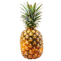 Fresh pineapple, whole fruit