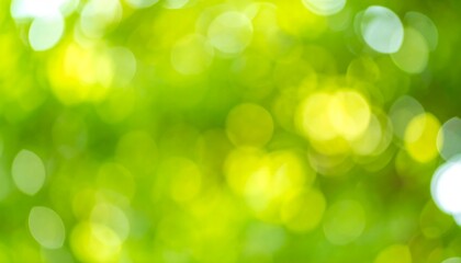 Fototapeta premium Green Canopy Light Bokeh nature spring