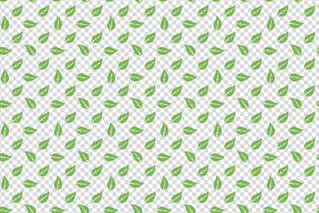 a repeating pattern of small, light green leaves scattered across a transparent background.
